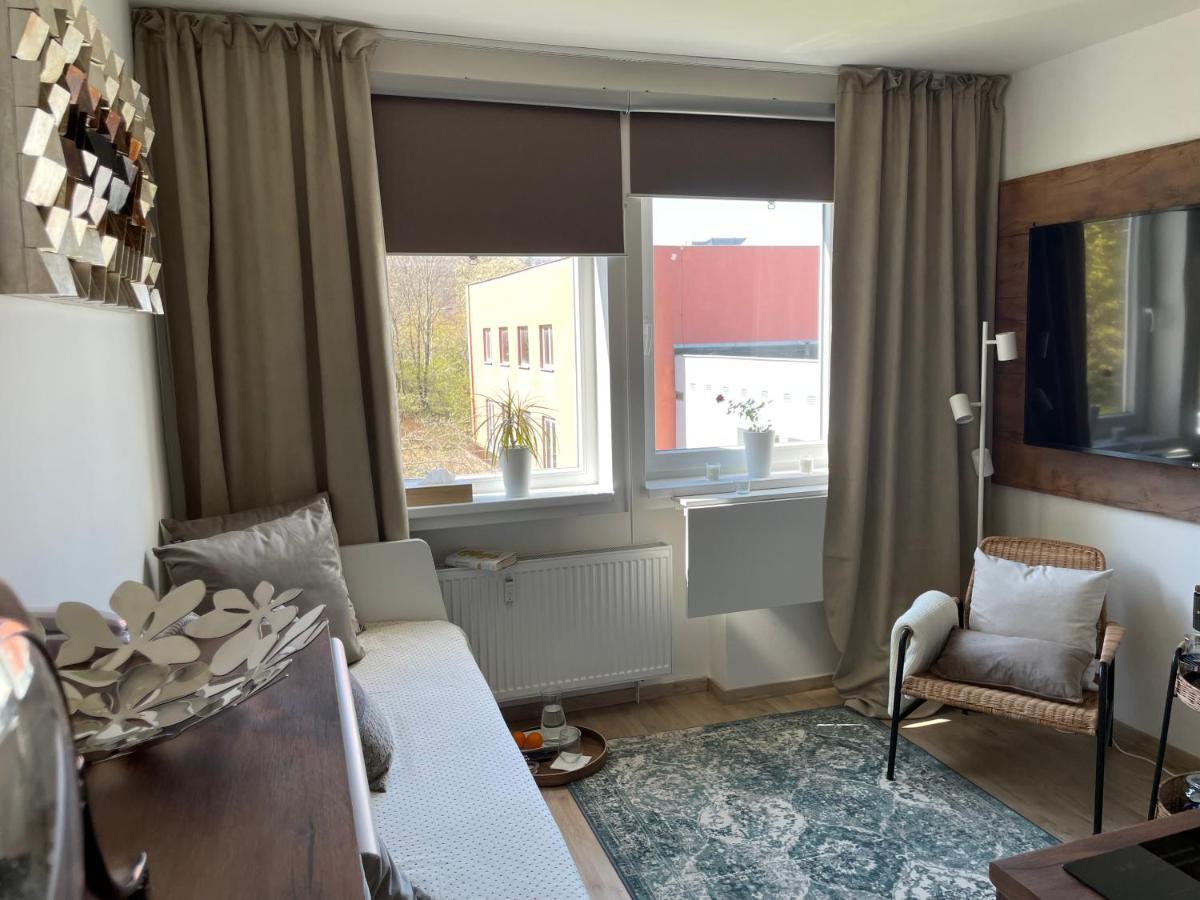 De Luxe Apartment, Wifi, Tv 65" ปราก ภายนอก รูปภาพ
